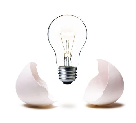 Premium Photo Light Bulb With Egg Shell