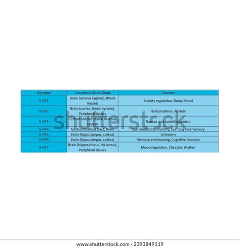 Table Showing Characteristics Serotonin Receptors Subtypes Stock Vector ...