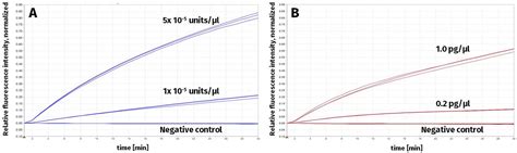 New: Nuclease Detection - As simple as this! - News Blog - Jena Bioscience 