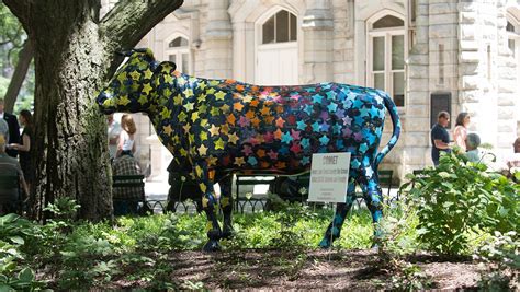 Cows Parade Once Again Through Downtown Chicago Wttw Chicago