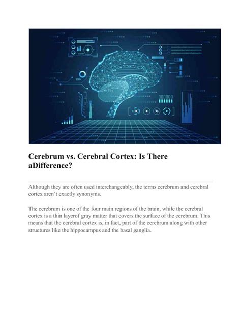 Cerebrum vs cerebellum | PDF