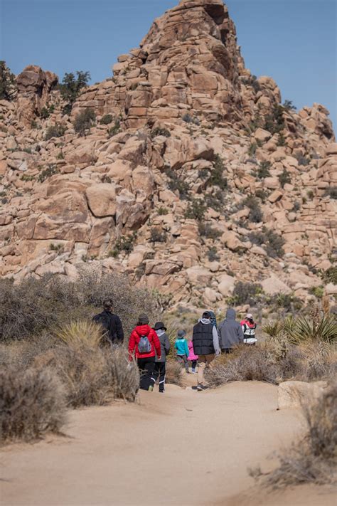 One Day In Joshua Tree How To Visit The Instagram National Park