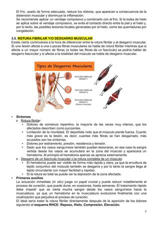 Tema 10 Traumatismos Musculos Pdf