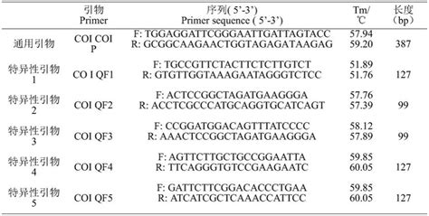 Dna