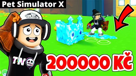 DIAMOND HOVERBOARD ZA 200 000 Kč nejdražší item v Pet Simulator X