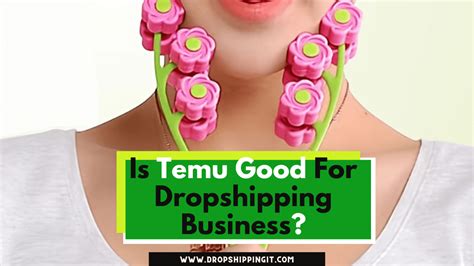 Is Temu Good For Dropshipping Business In