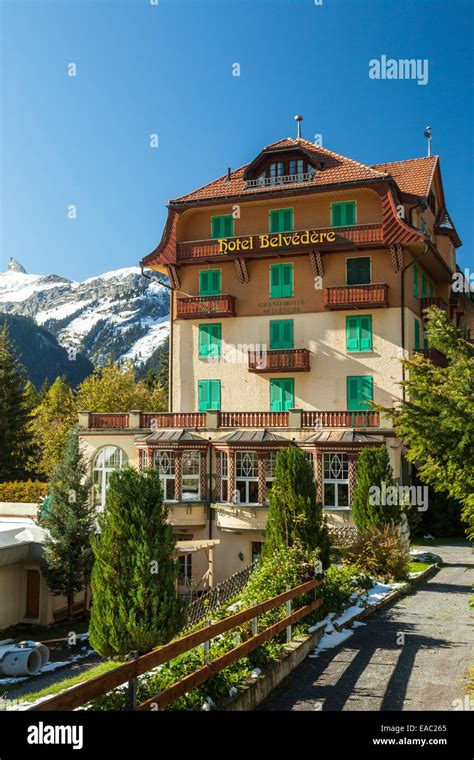 Hotel Belvédère in Wengen, canton of Bern, Switzerland Stock Photo - Alamy