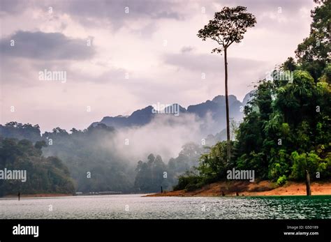 Misty Dusk Over Cheow Lan Lake In Khao Sok National Park Surat Thani