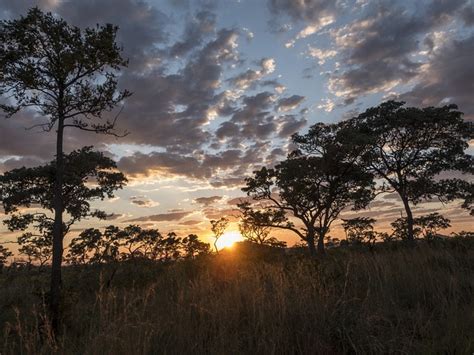 Wieczorna Atmosfera Kruger Park Darmowe zdjęcie na Pixabay Pixabay