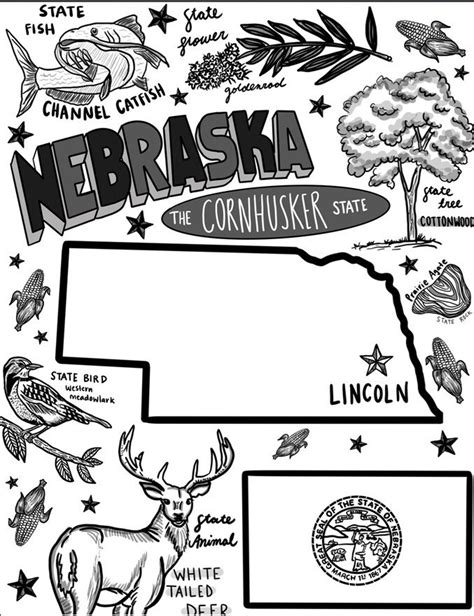 Coloring Nebraska Pages Husker Huskers Postcard Herbie Template Sketch ...