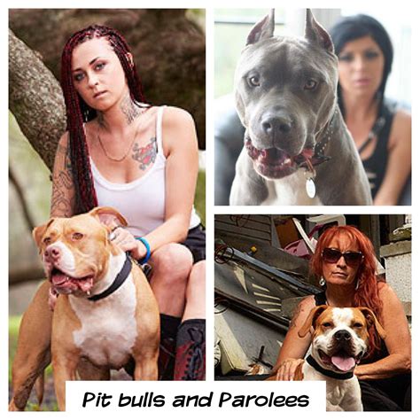 What Happened To Tia's Husband On Pitbulls And Parolees