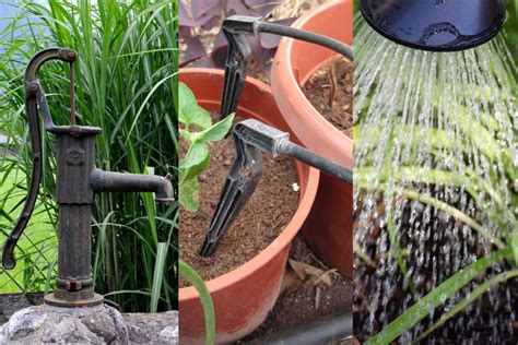 Types of irrigation - Surface and Subsurface - drip, sprinkler, green ...