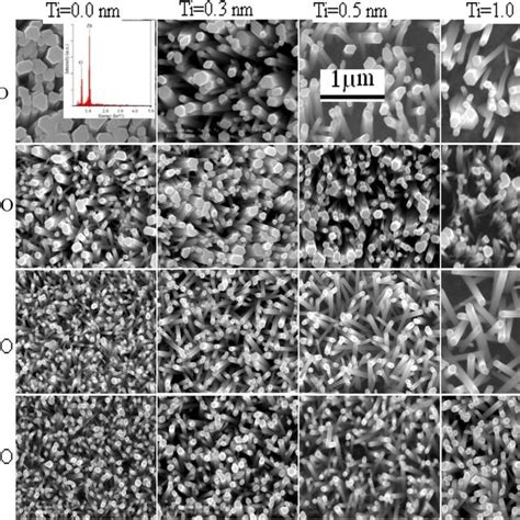 Top View FE SEM Images Of ZnO NRAs On Bare AZO 1 St Row AZO ZnO 2