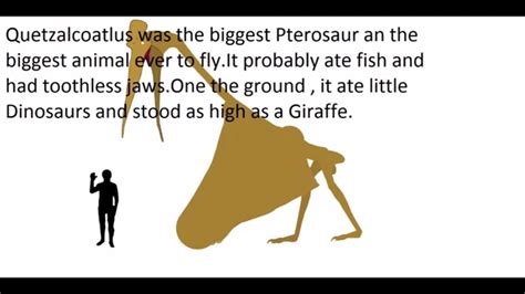 Quetzalcoatlus Dinosaur Facts Youtube