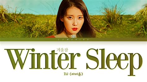 IU Winter Sleep Lyrics 아이유 겨울잠 가사 Color Coded Lyrics Han Rom Eng