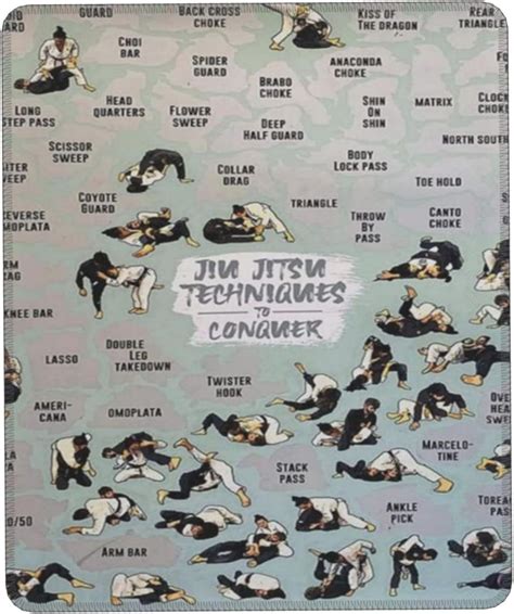 Amazon.com: Jiu Jitsu Reference Guide Jiu Jitsu Techniques to Conquer ...