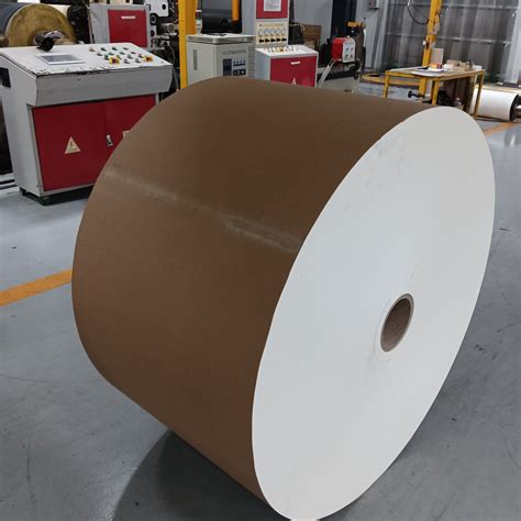 Pe Coated Printing Paper Roll Type Paper Fan For Paper Cup China Pe