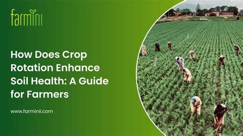 How Does Crop Rotation Enhance Soil Health A Guide For Farmers Farminii