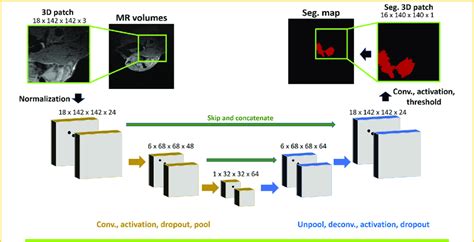 Convolutional Neural Network Cnn Architecture Used For Segmentation Download Scientific