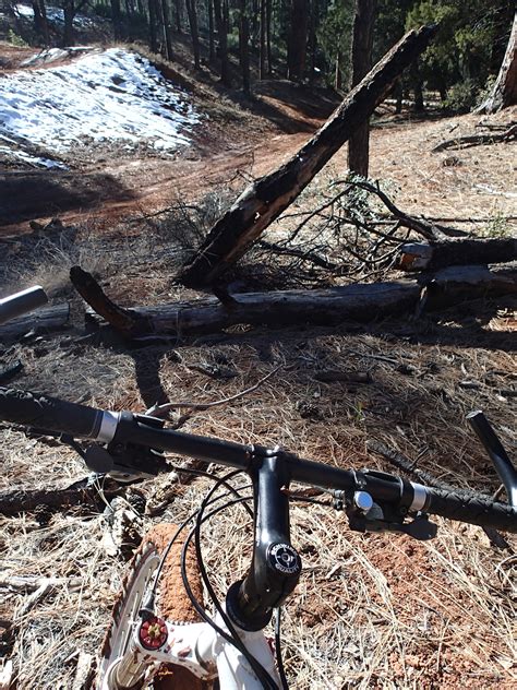 Free Images Tree Branch Trail Bicycle Vehicle Soil Mountain