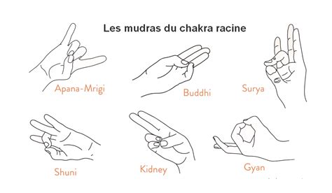 Guide Complet Du Chakra Racine