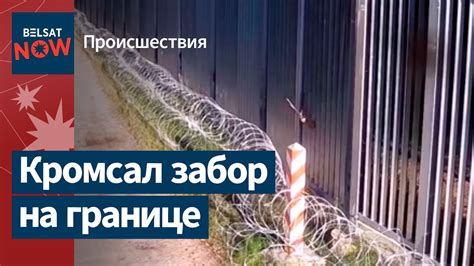 Беларус пытался перерезать забор на границе с Польшей - YouTube