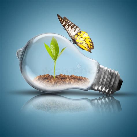 Электрическая лампочка с почвой и зеленое растение пускают ростии ...