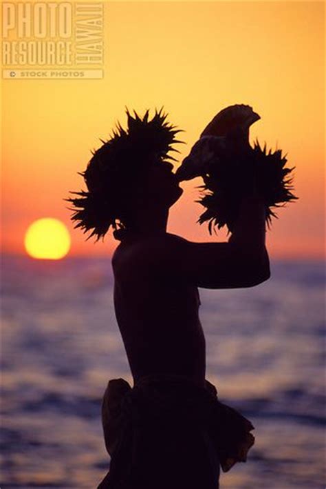 Conch Shell Blower Photo Resource Hawaii Hawaii Sunset Photos