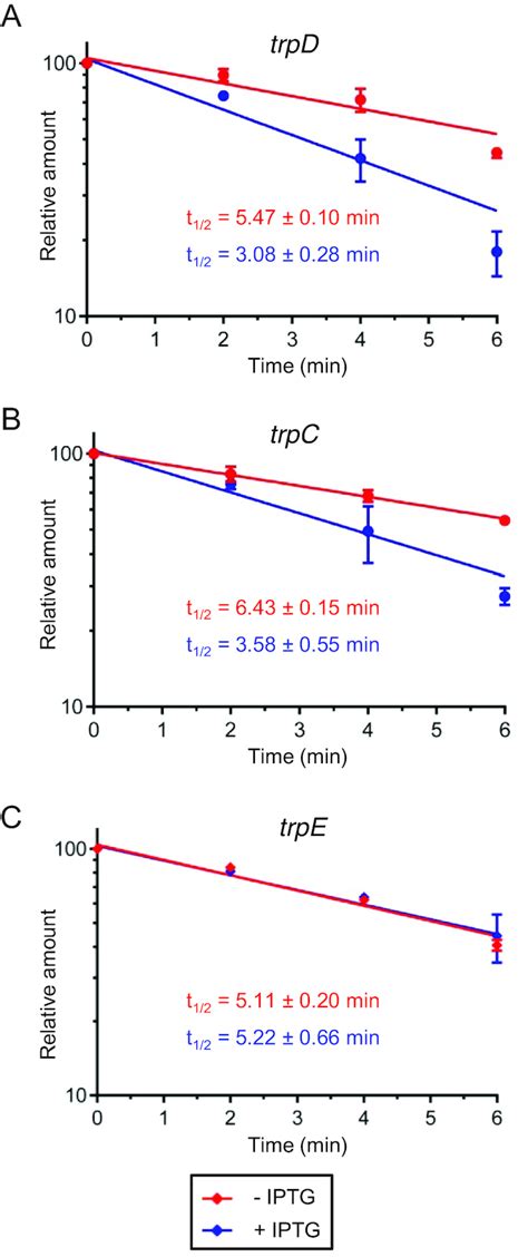 Transcription Attenuation Derived Small RNA RnTrpL Regulates Tryptophan