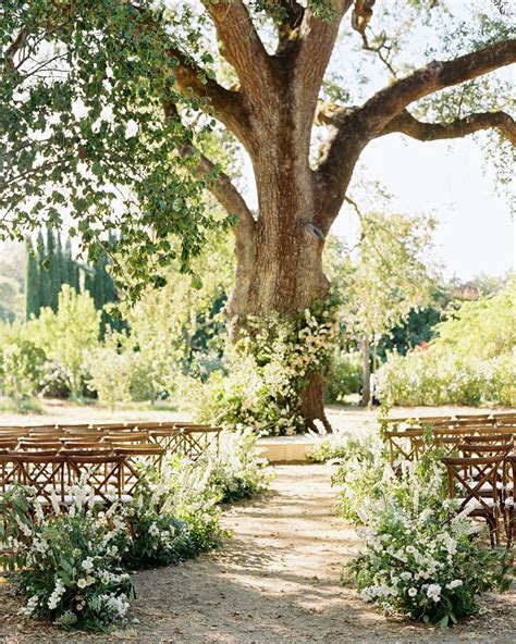 20 Ways To Decorate A Wedding Ceremony Beneath Trees