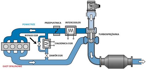 Zawór EGR co to jest i jak wpływa na sprawność Twojego silnika