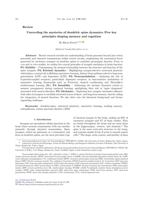 Pdf Unraveling The Mysteries Of Dendritic Spine Dynamics Five Key