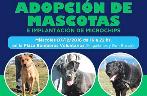 Mañana habrá una nueva jornada de adopción y tenencia responsable de