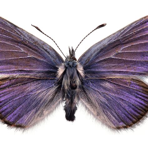 Jack Doherty OnlyFans: The Shocking Truth Revealed - Truth or Fiction