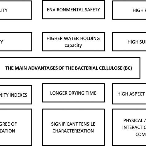 Pdf Bacterial Cellulose From Food To Biomedical Products