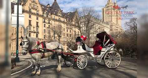 Central Park Carriage Rides | Horse Drawn Carriage NYC