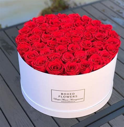 Best Boxed Rose Livia Queenie