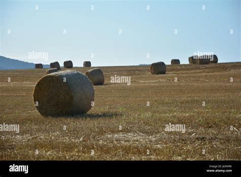 Straw Bales On Harvested Field With Blue Sky Stock Photo Alamy