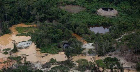 Cresce Arco Do Garimpo Ilegal Em Terras Ind Genas Yanomami Denuncia