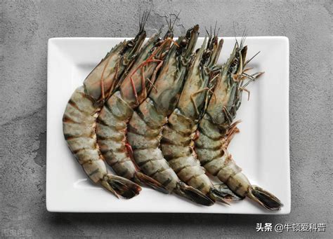 Super Species Invasion An Accident Caused The Asian Tiger Shrimp To Overflow In The United