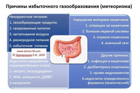 Метеоризм кишечника у взрослых: причины и лечение