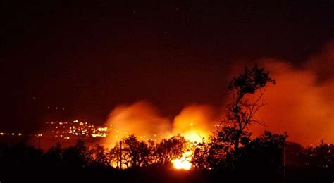 Incendios Forestales Han Consumido M S De Mil Hect Reas En