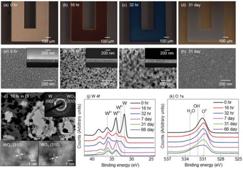 Sensors Free Full Text Biodegradable Molybdenum Mo And Tungsten