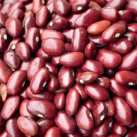 Organic Lobia Red Beans High In Protein Packaging Size Packing At Rs