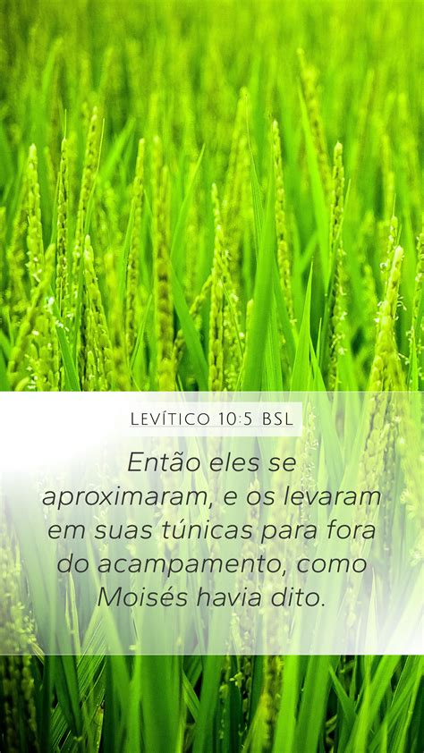 Levítico 10 5 BSL Mobile Phone Wallpaper Então eles se aproximaram e