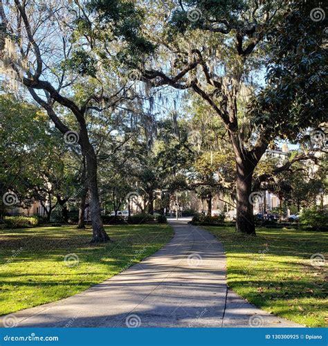 Forsyth Park Savannah Georgia Stock Image - Image of georgia, walkway ...