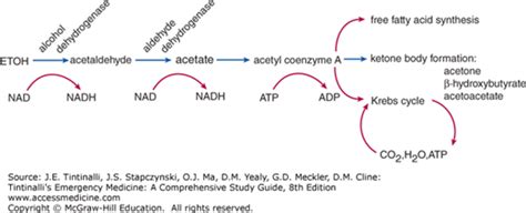 Alcoholic Ketoacidosis | Anesthesia Key