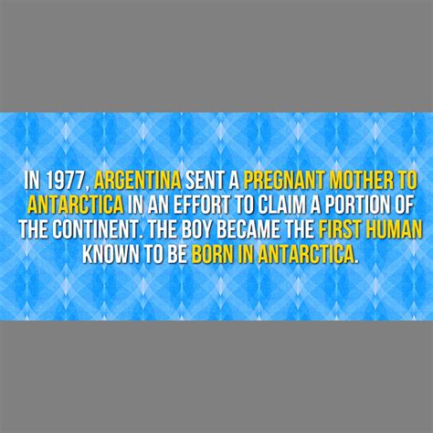 31 Facts You Didnt Know About Antarctica