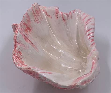 Giant Clam Shell Sculpture Art Ornament Bowl Handmade In Pink Etsy