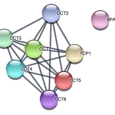 Voronoi Pathway Visualization Reacfoam For The Identified Proteins